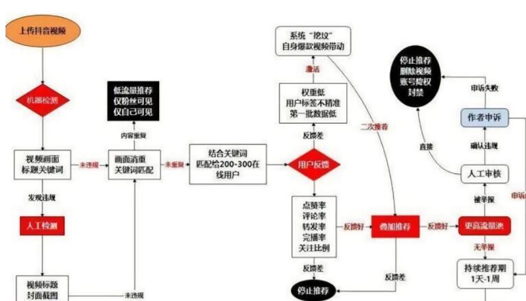 Newbies can easily and quickly master the core skills of Douyin recommendation algorithm - Picture 2 - Xiaoqi Douyin training Newbies can easily and quickly master the core skills of Douyin recommendation algorithm - Picture 2 - Xiaoqi Douyin training